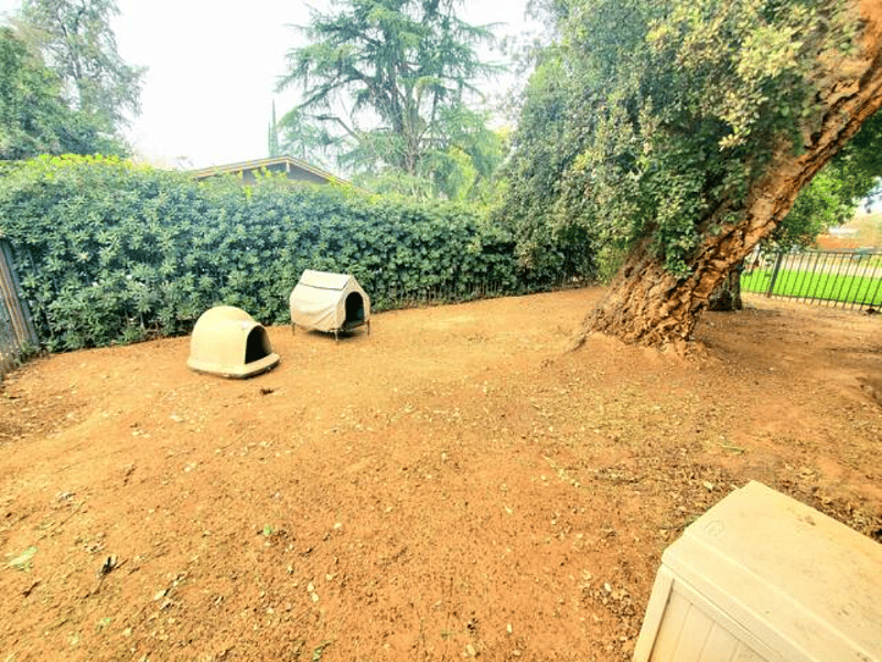 Enclosed dog run on site