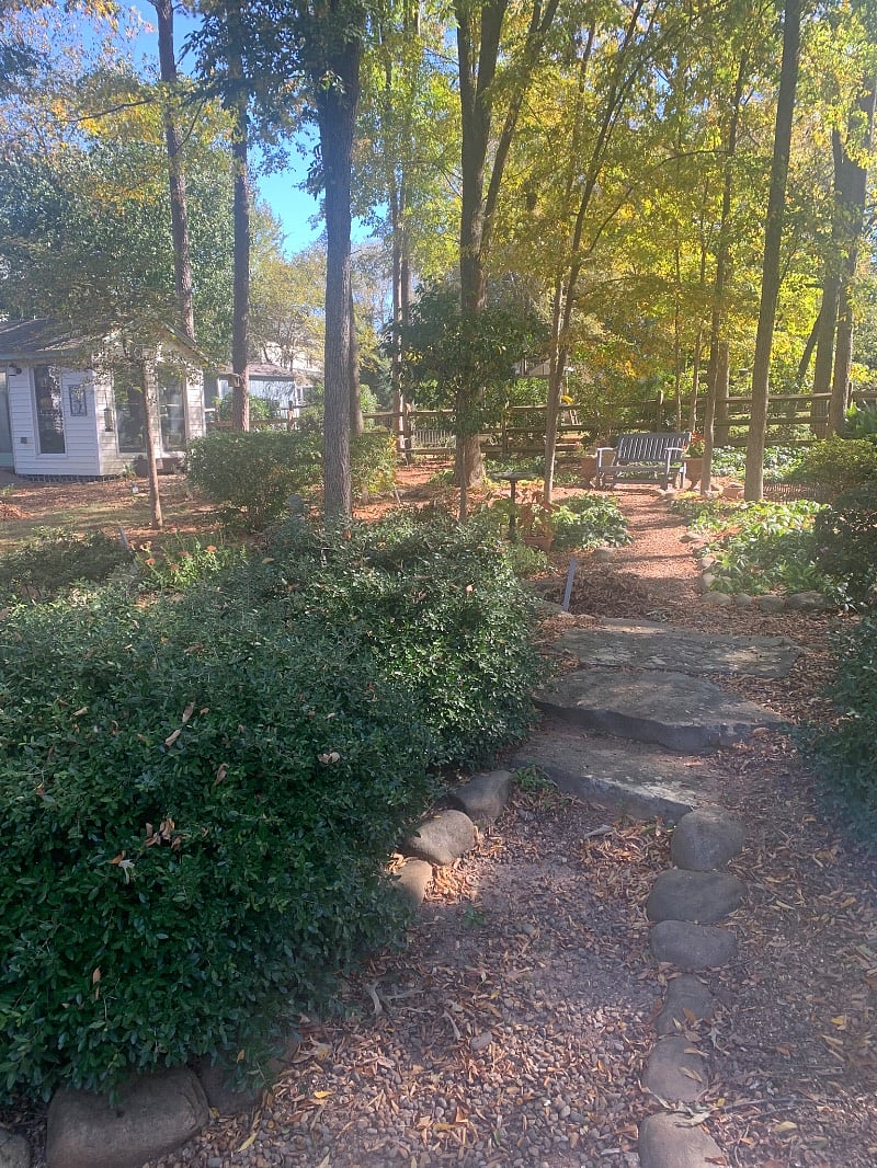 Furnished Finder property 433557_1 photo 20