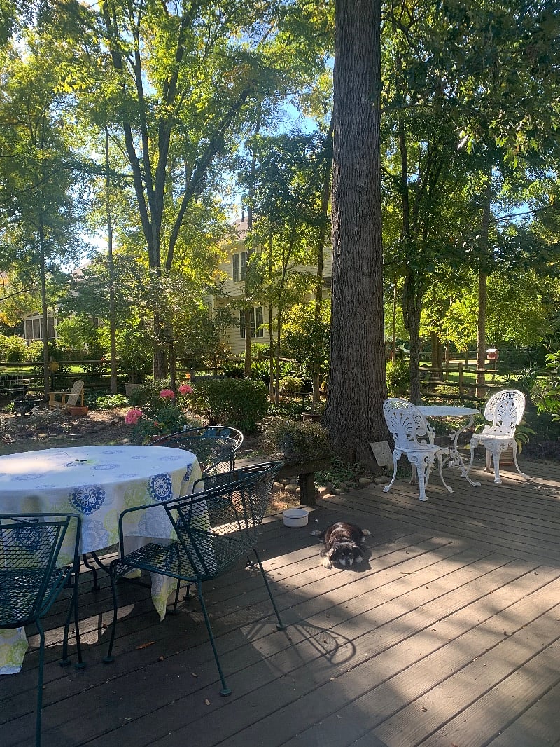 Furnished Finder property 433557_1 photo 25
