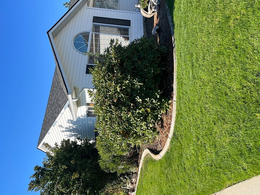 Furnished Finder property 433573_1 photo 4