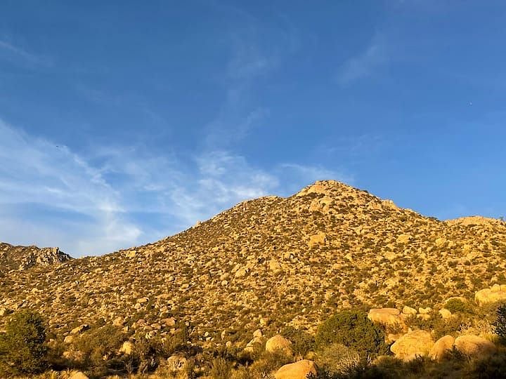 View of the Sandia Foothills