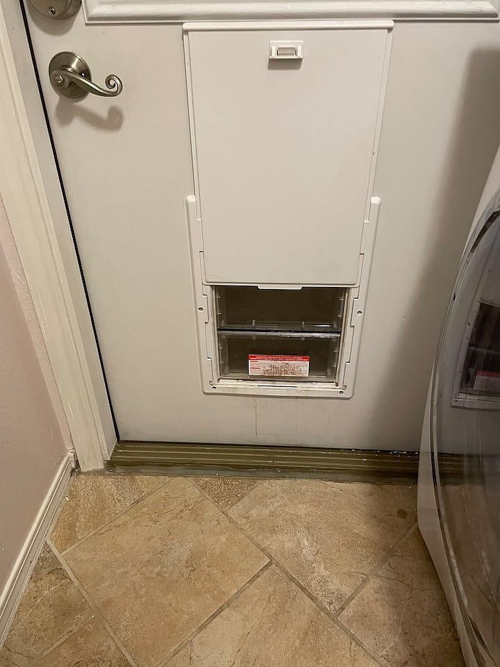 Doggy door in laundry room