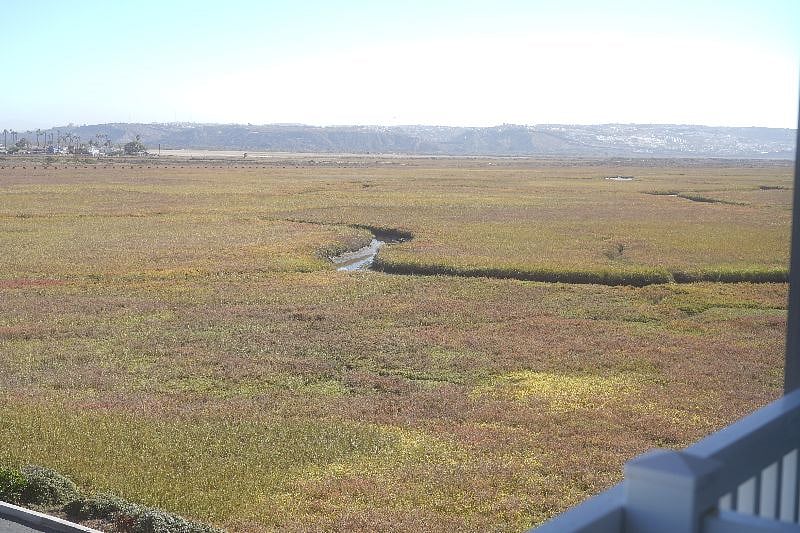 view from back Balcony of the Bird Estuary