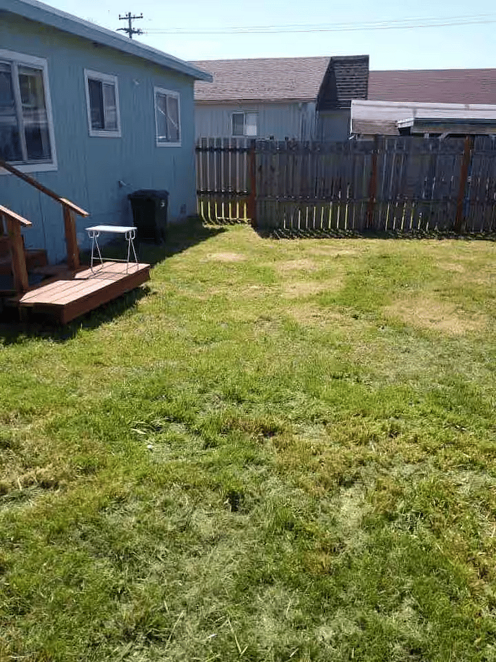 fenced in backyard