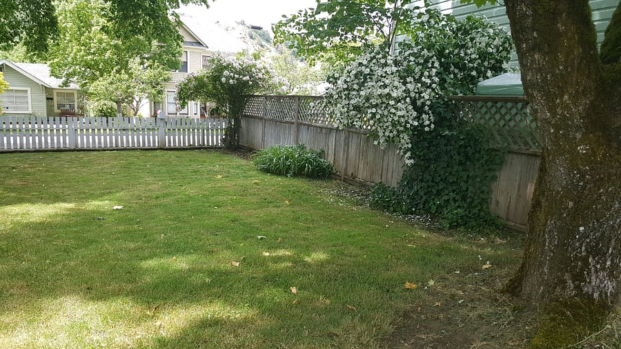 This is another view of the north side yard facing the street and the cottage behind the lens. There is a smaller yard in the front and side of the house as well.