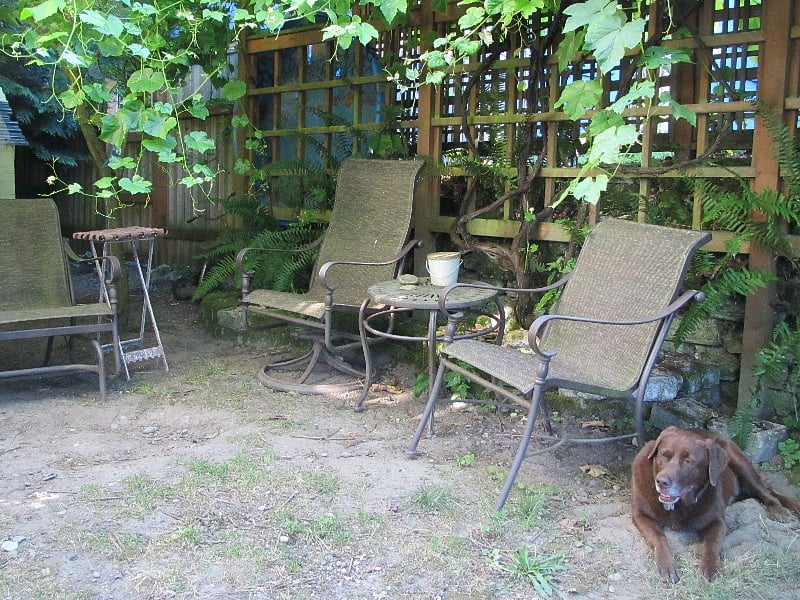 Furnished Finder property 434211_1 photo 15