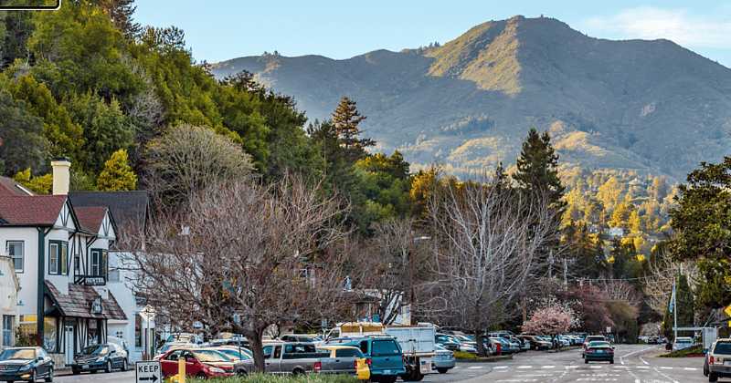 Downtown Mill Valley w/ Mt. Tam in the background