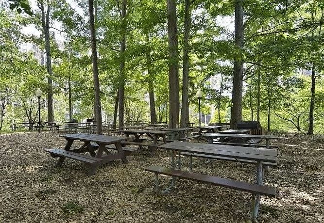 Several picnic areas are located around the community with bar-b-que grills and outdoor walking trails. Absolutely private and beautiful breathtaking gardens and playgrounds.