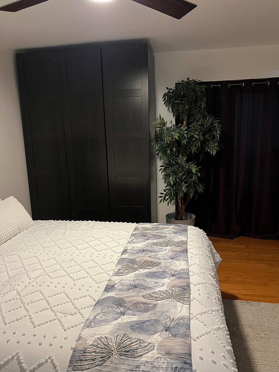 Furnished Finder property 434404_1 photo 5