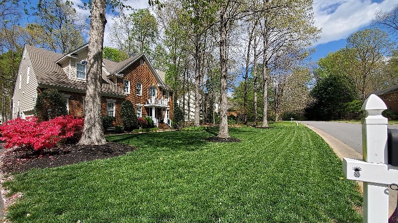 Furnished Finder property 434653_1 photo 11