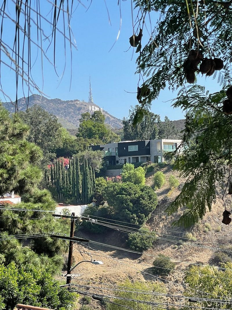View of the Hollywood sign from the workspace.