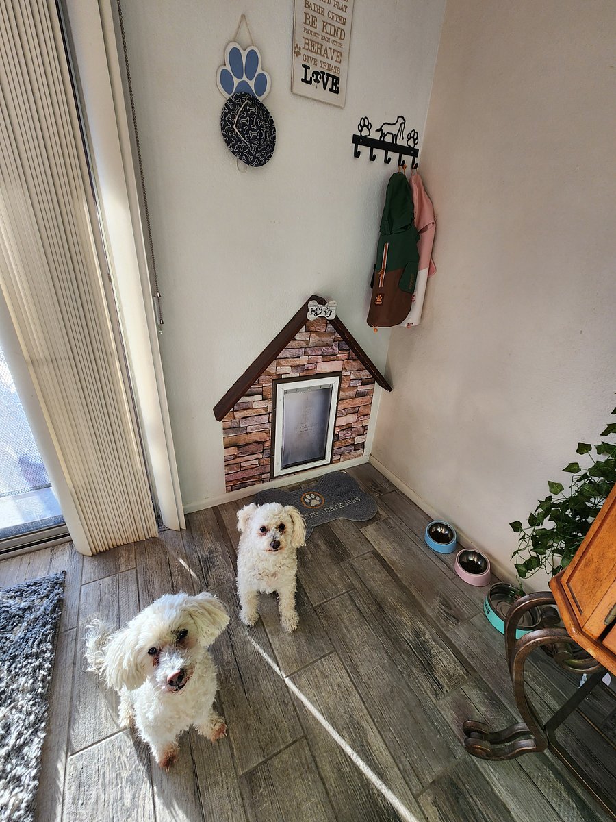 Doggie door to accommodate small to medium dog. Dogs pictured are my babies who live in residence with me when not rented.