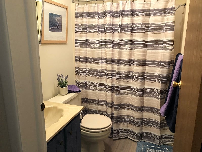 Furnished Finder property 434901_1 photo 12