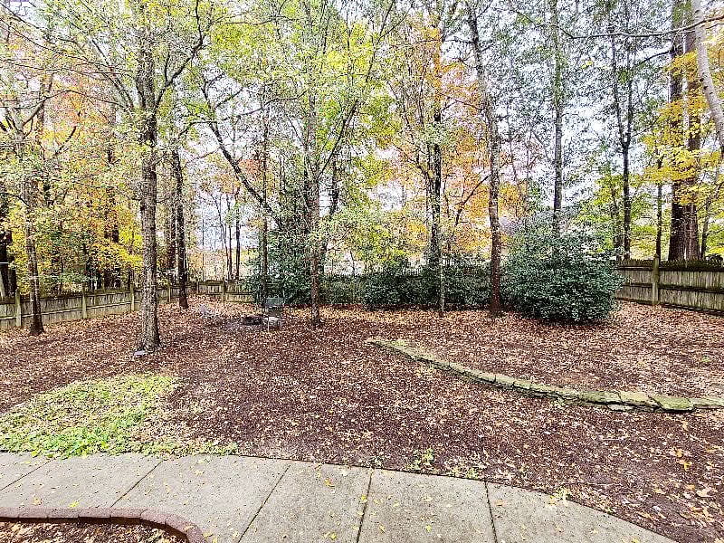 Large, secluded, low maintenance, and quiet backyard.