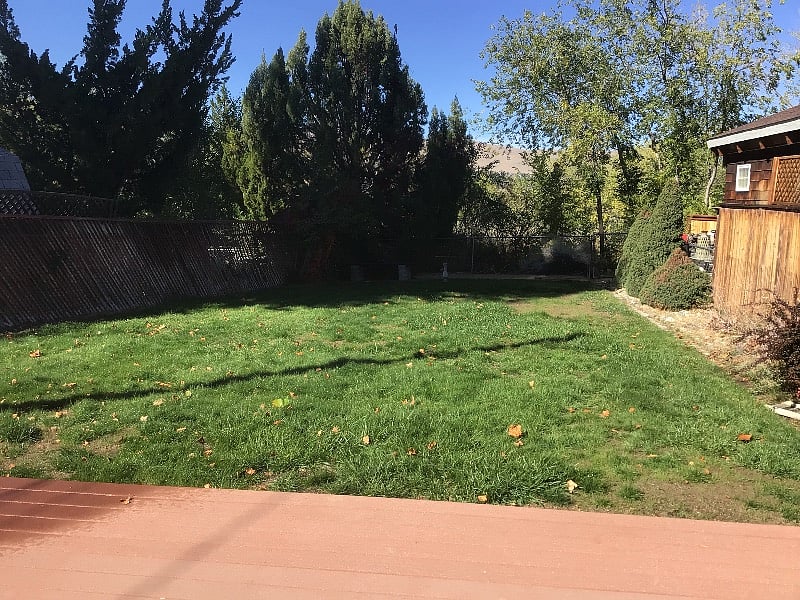 Private Back Yard