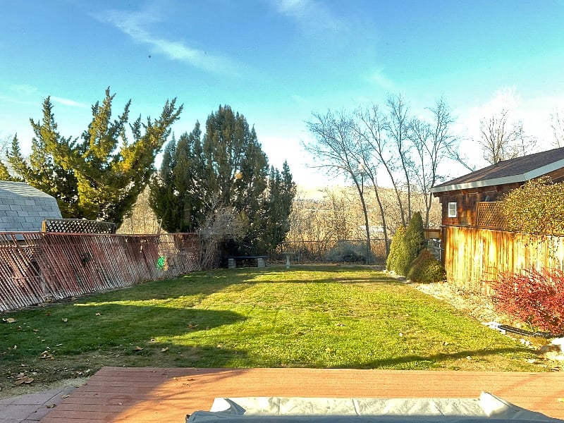 Back Yard