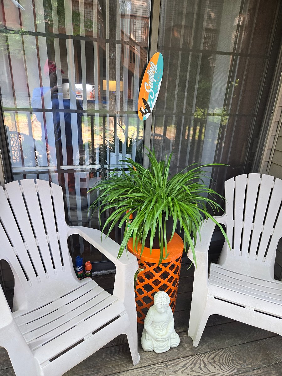 Furnished Finder property 434996_1 photo 21