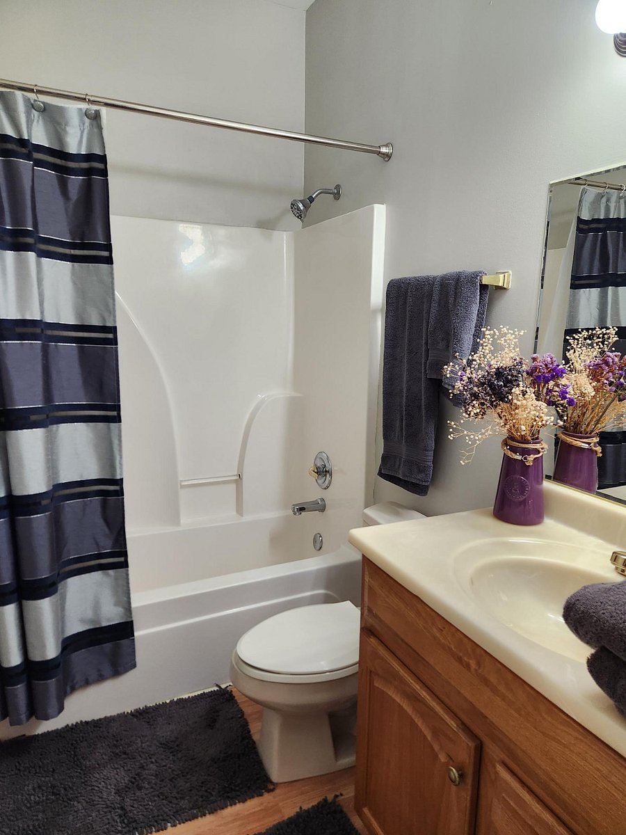 Furnished Finder property 435016_1 photo 4