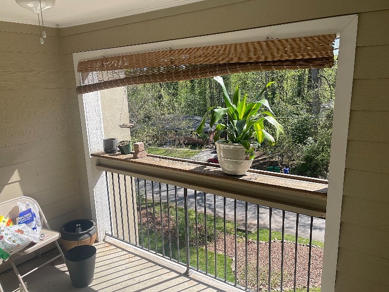 Furnished Finder property 435169_1 photo 22