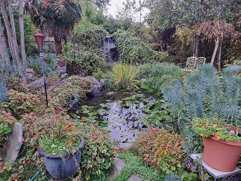 Waterfall and pond 