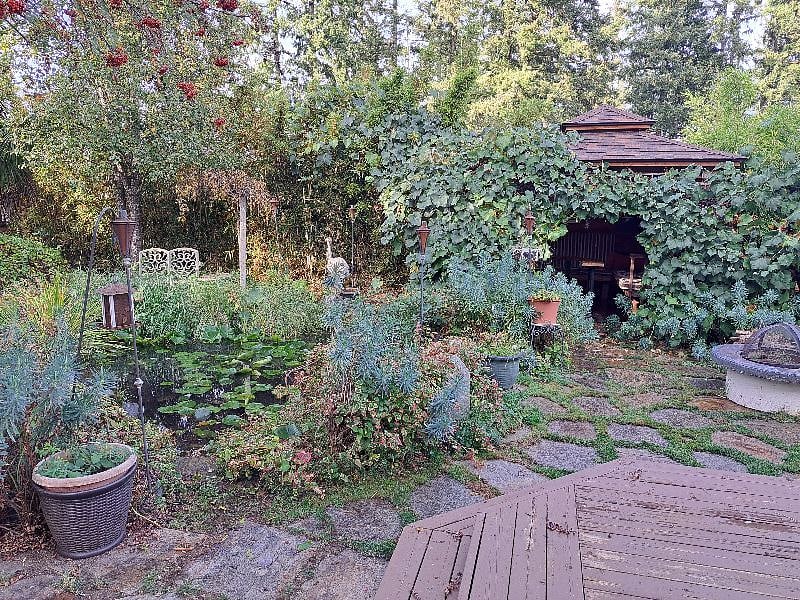 Pond and gazebo