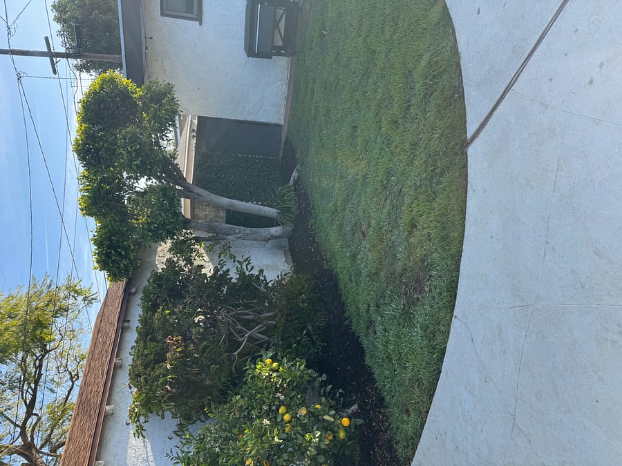 Furnished Finder property 435311_1 photo 7
