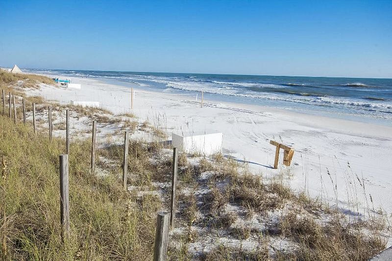 Furnished Finder property 435434_1 photo 13