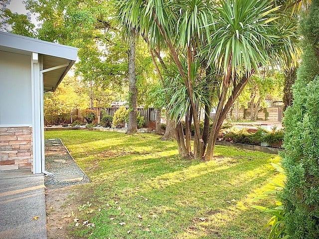 Furnished Finder property 435460_1 photo 15