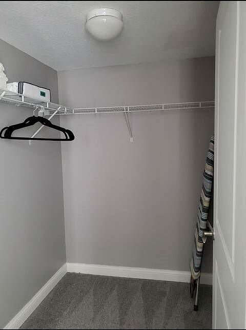Furnished Finder property 435591_2 photo 23
