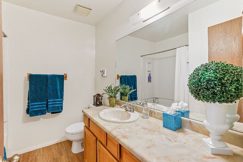 Furnished Finder property 435686_1 photo 12