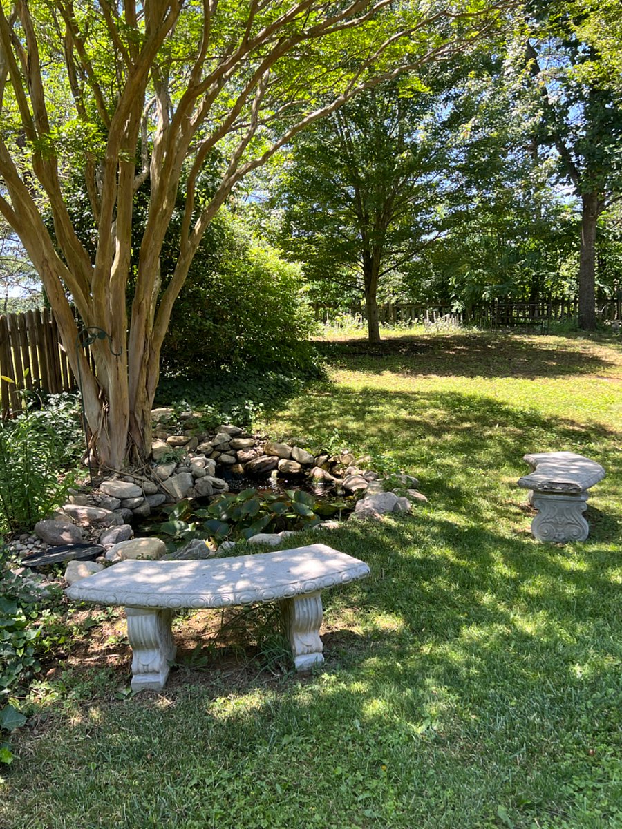 Garden house yard