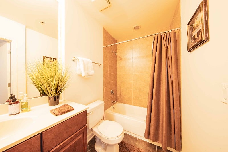 Furnished Finder property 435899_1 photo 13