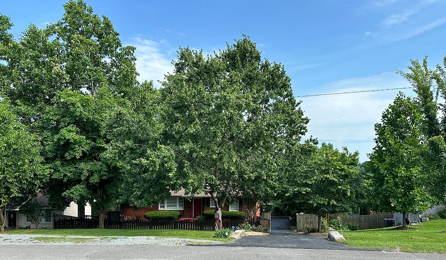 Furnished Finder property 436111_1 photo 17