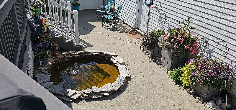 Pond