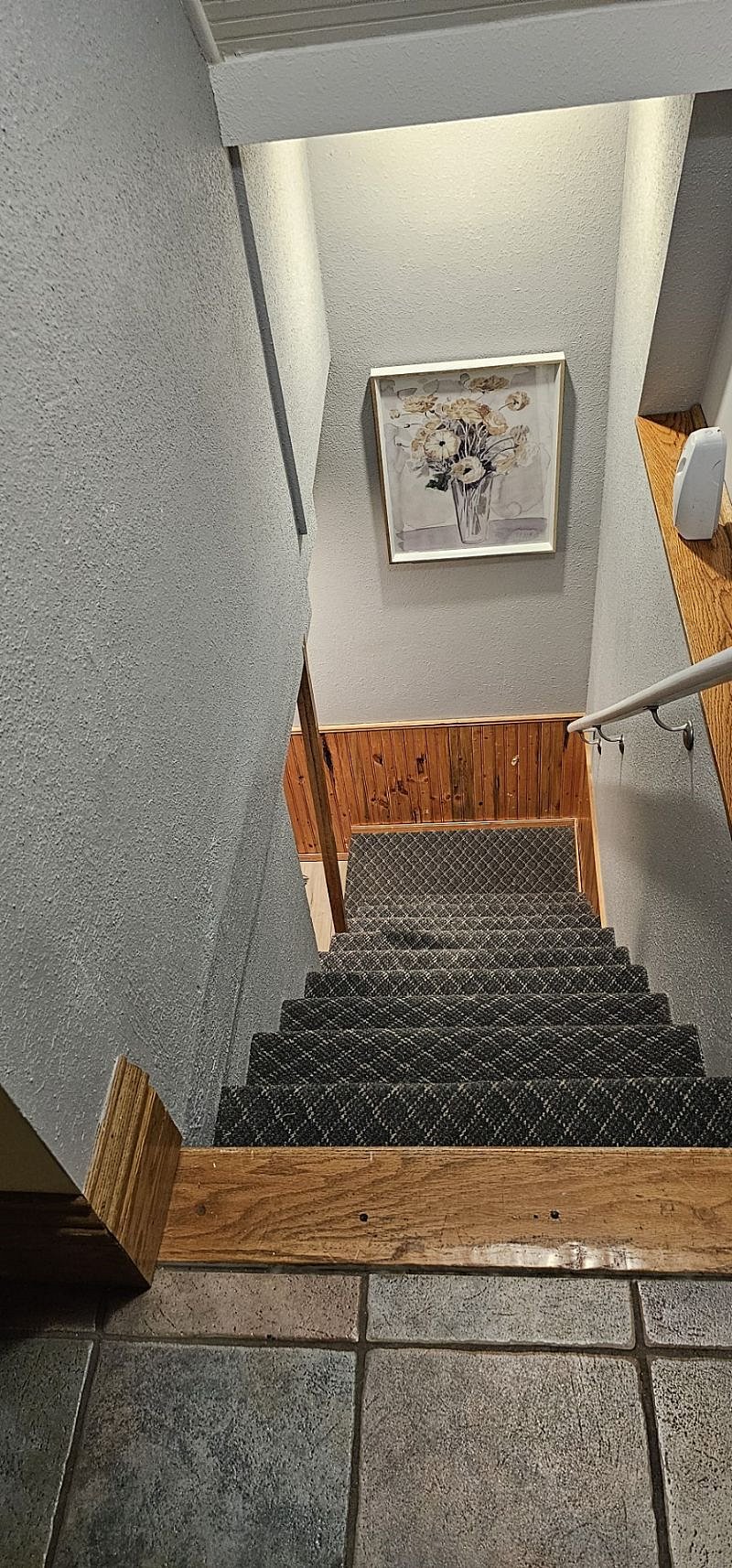 Stairway to lower lever