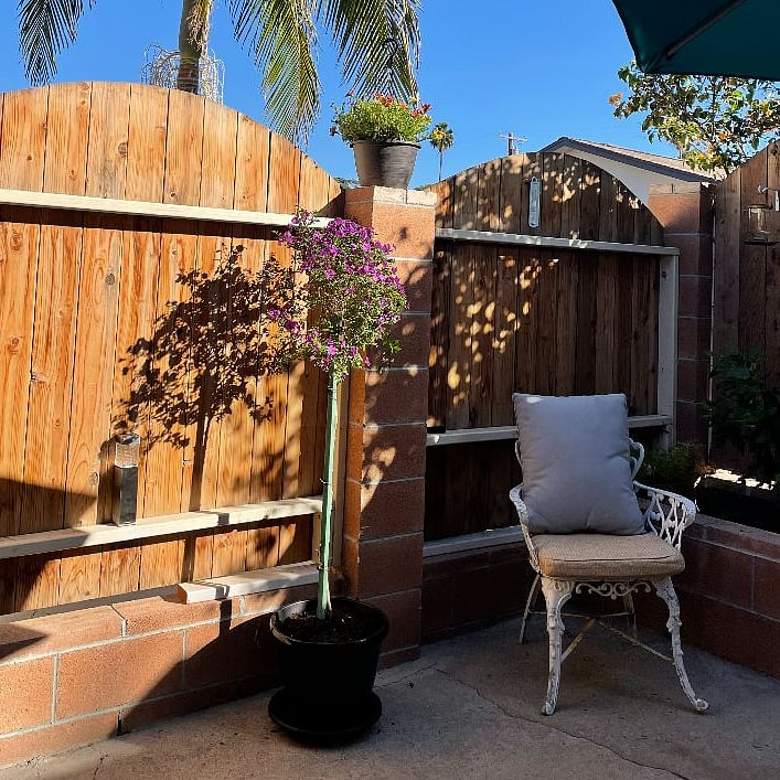 Furnished Finder property 436225_1 photo 7