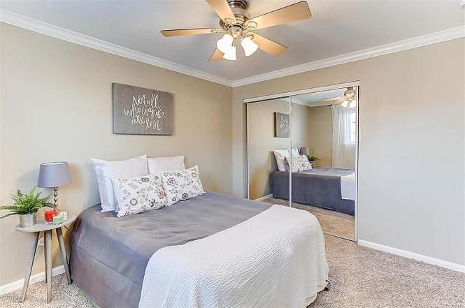 Furnished Finder property 436381_1 photo 10