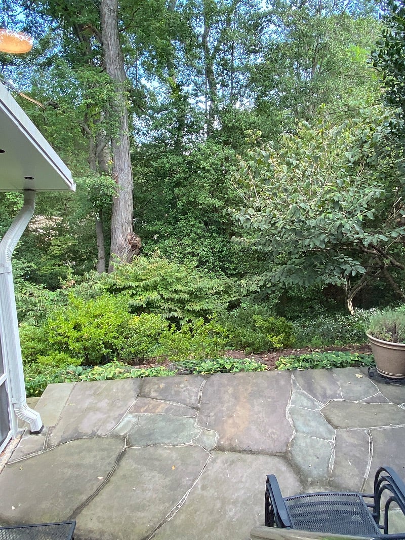 Furnished Finder property 436710_1 photo 11