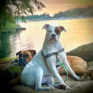 Lola and Jax