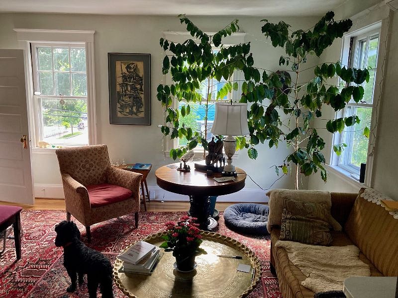 Furnished Finder property 436917_1 photo 4