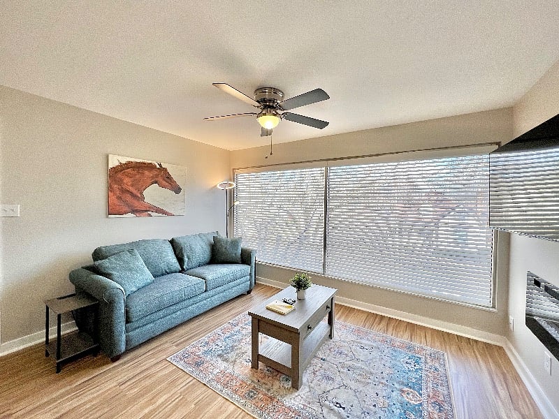 Furnished Finder property 437120_1 photo 17