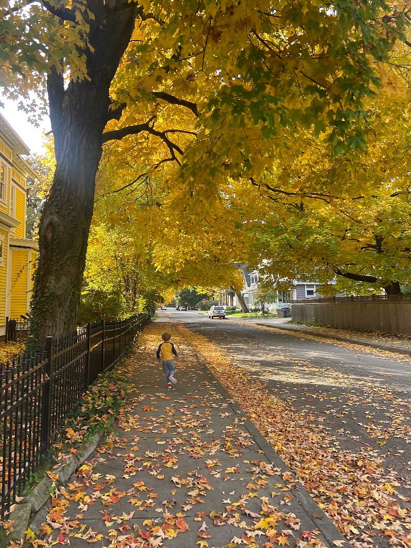 Old Northside Neighborhood in the fall