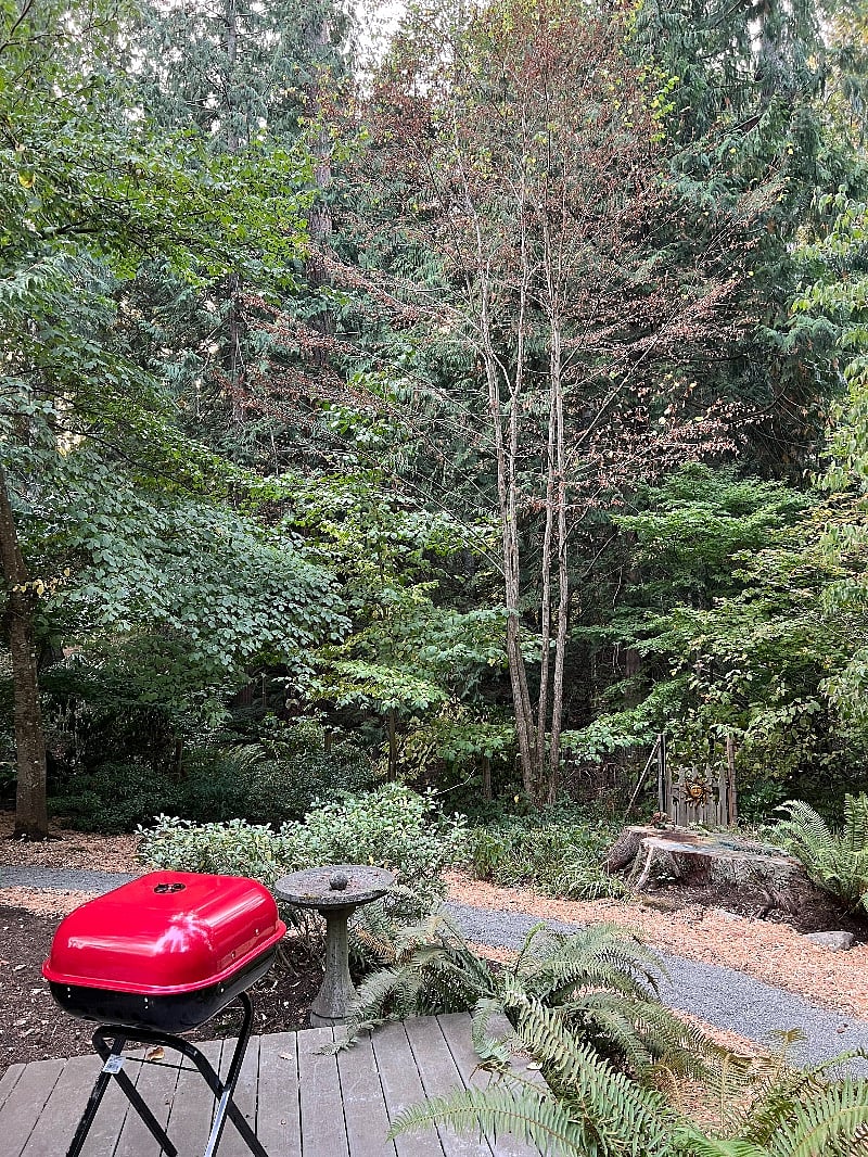 Property enclosed with fence and native plants - private