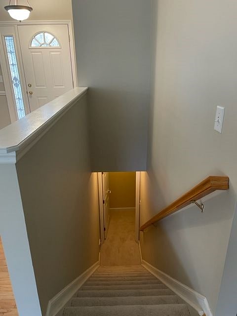 Steps to fully finished and carpeted basement