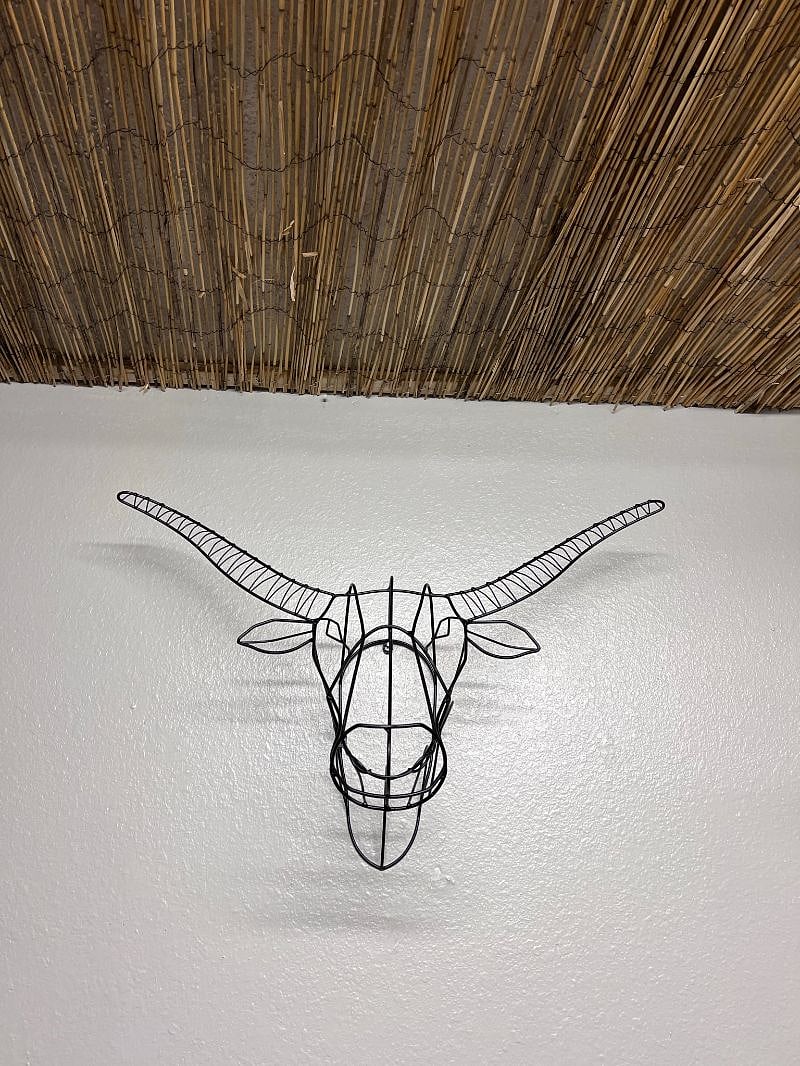 Our Longhorn! 