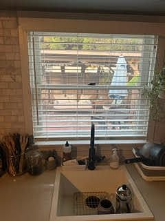 Furnished Finder property 437712_1 photo 5