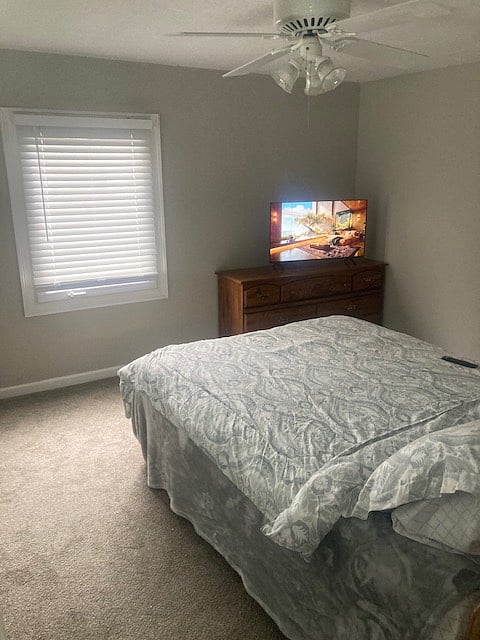 Furnished Finder property 437890_3 photo 13