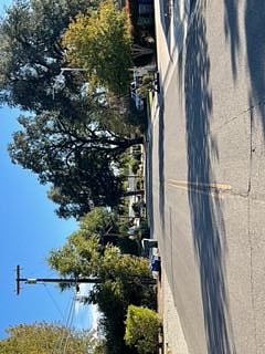 Large river oaks on quiet street