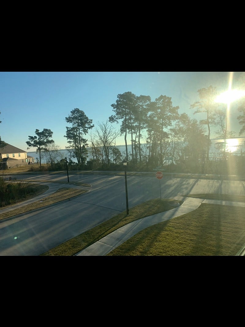 Furnished Finder property 438206_1 photo 9