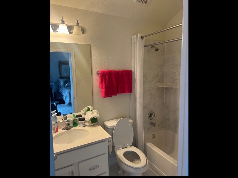 Furnished Finder property 438206_1 photo 19